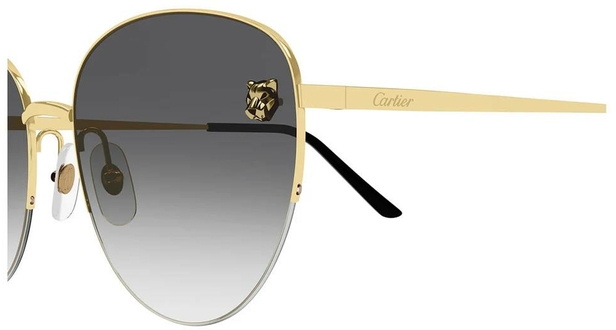 Cartier CT0301S-001 59