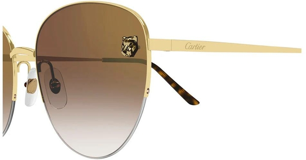 Cartier CT0301S-002 59