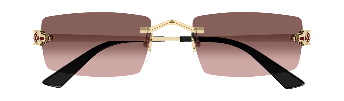 Cartier CT0598S 004