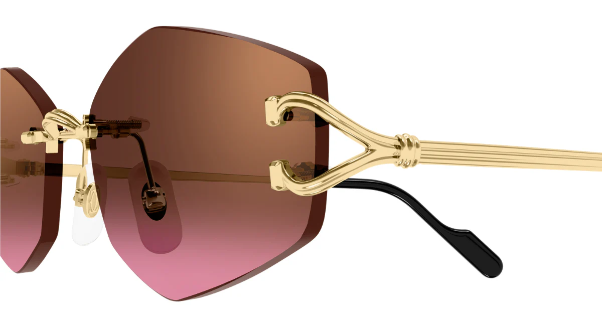 Cartier CT0620S 005