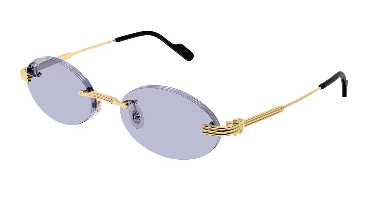 Cartier CT0615S 009