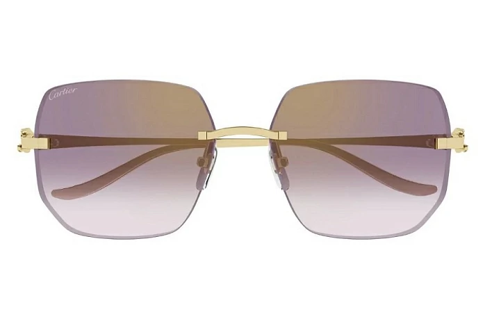 Cartier CT 0549S 004