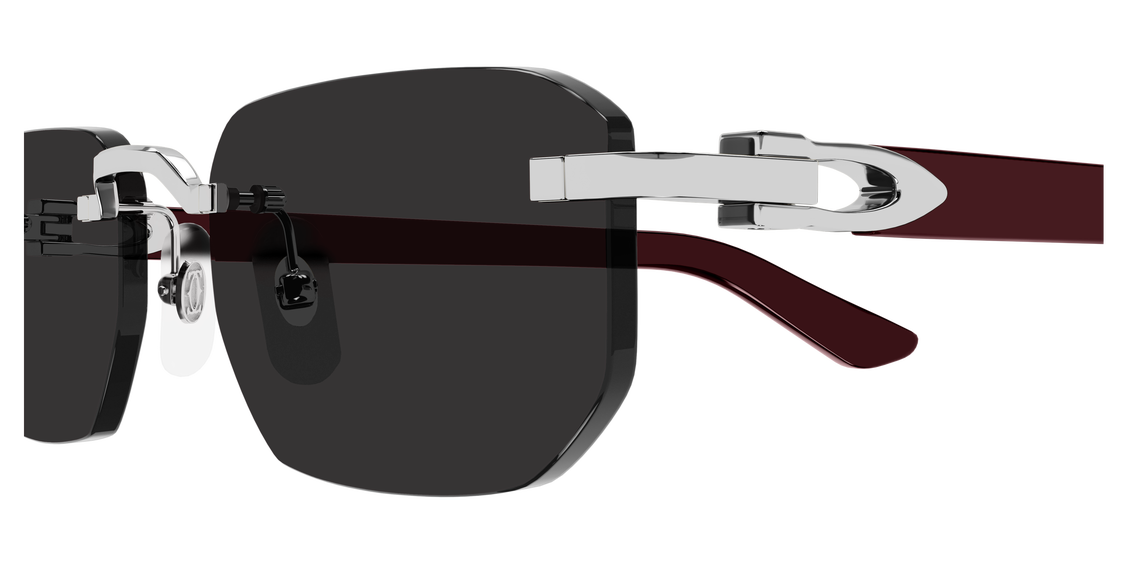 Cartier CT0622S 002