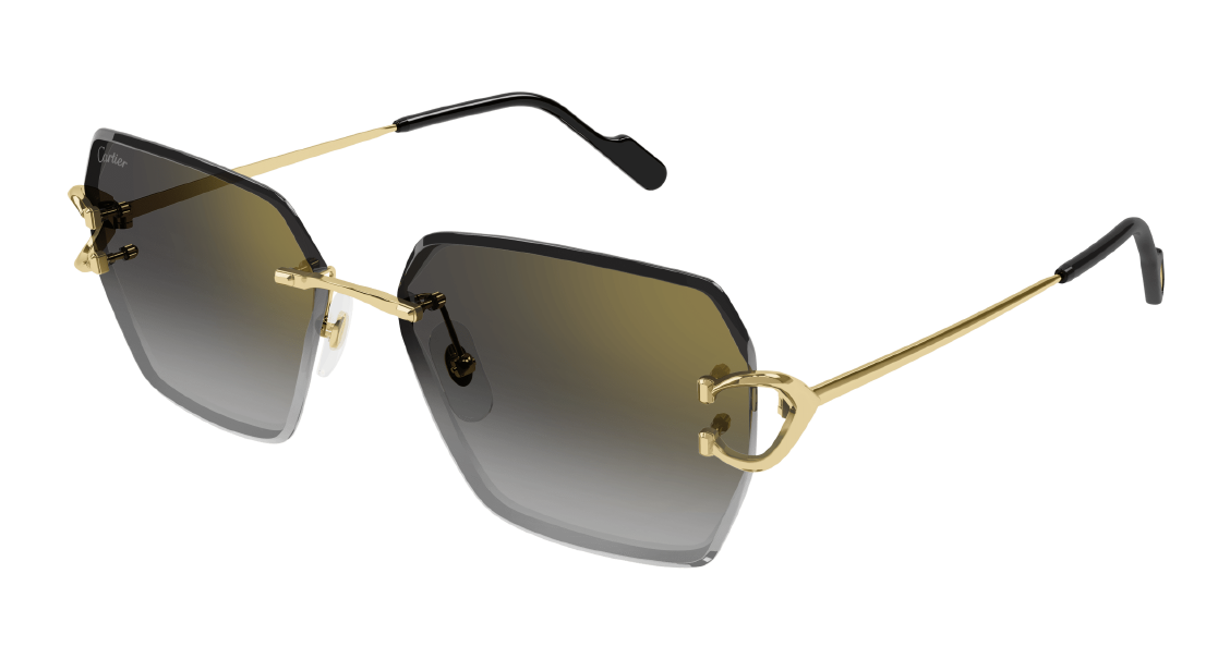 Cartier CT 0466S 001