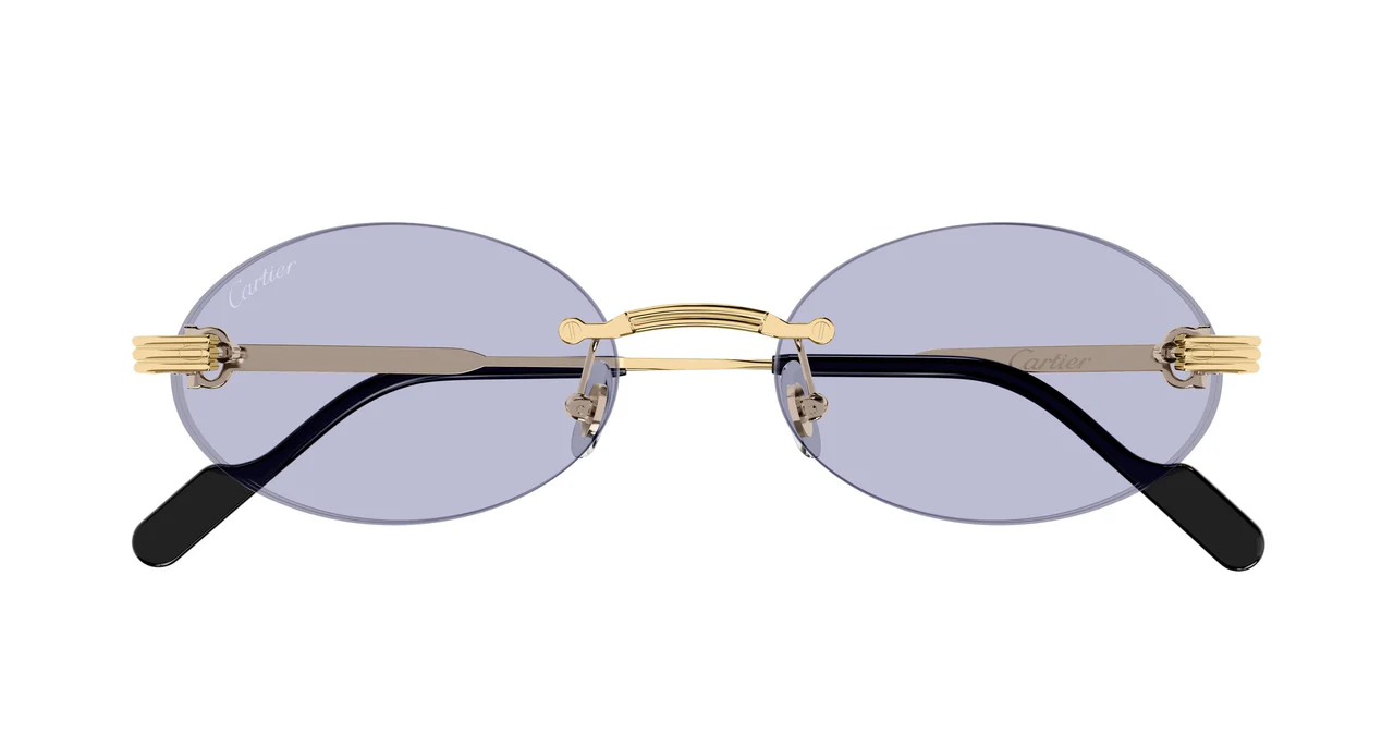 Cartier CT0615S 009