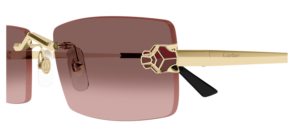 Cartier CT0598S 004