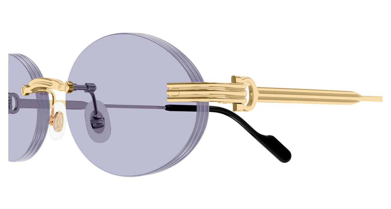 Cartier CT0615S 009