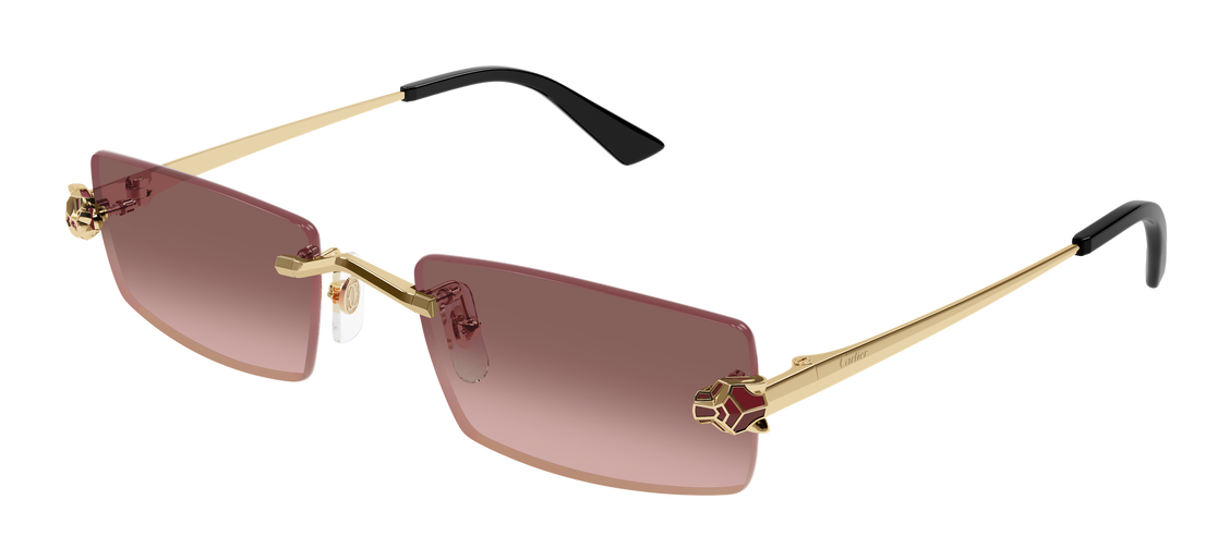 Cartier CT0598S 004