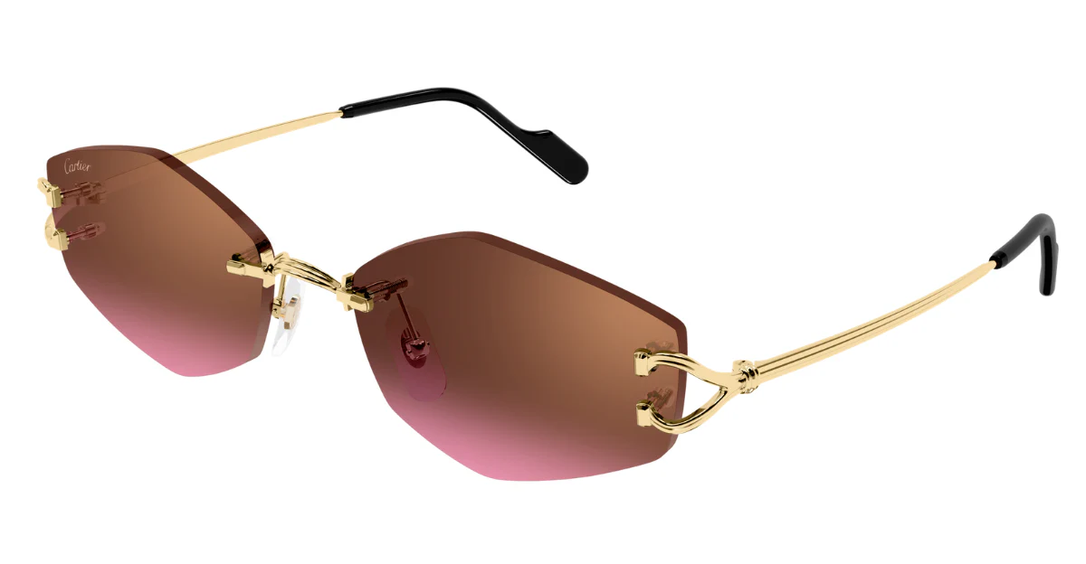 Cartier CT0620S 005