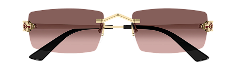 Cartier CT0598S 004