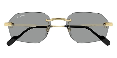 Cartier CT0616S 004