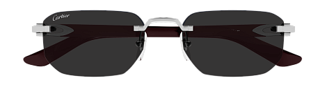 Cartier CT0622S 002