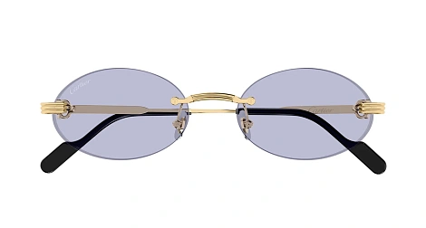 Cartier CT0615S 009